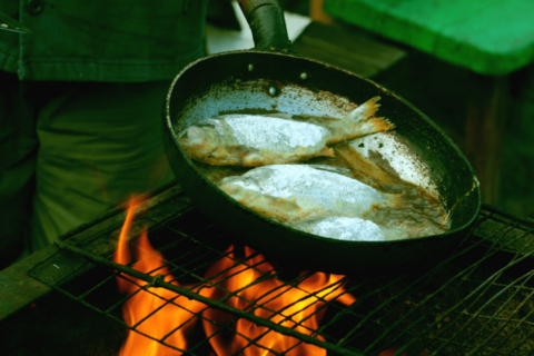 Knysna Oyster Festival: 3 - 12 July 2026